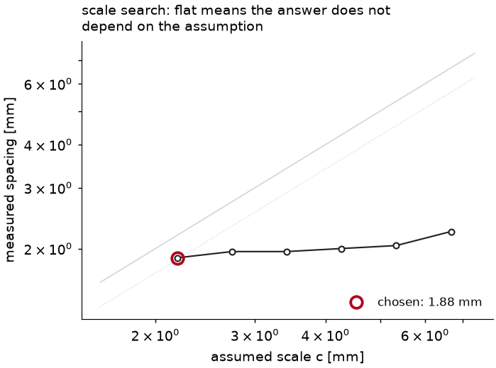 scale search for irregular